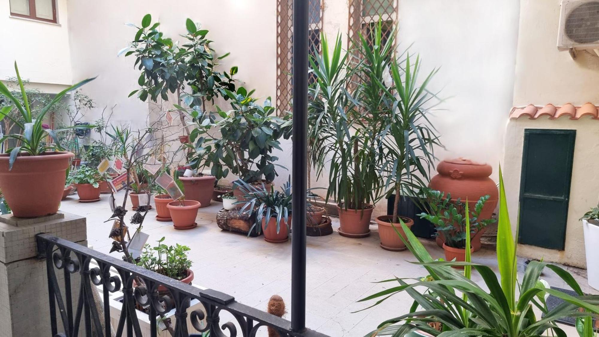 Loft Magna Grecia Reggio Calabria Centro Storico A 3 Minuti A Piedi Dal Mare Appartement Buitenkant foto